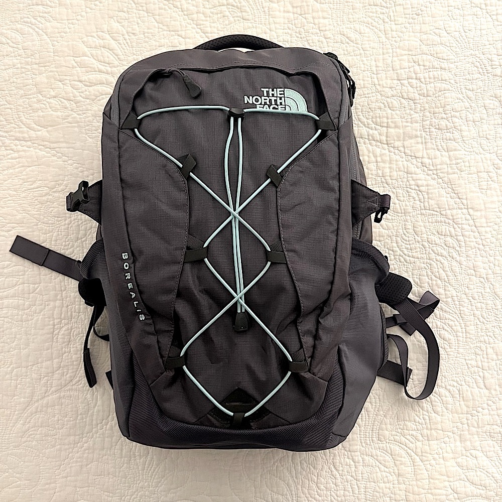 The North Face Borealis Backpack | Color: Grey and Mint Green | EUC